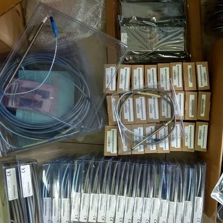 (80466-02 TK81)模块 品牌 本特利Bently Nevada 产地美国 现货供应 货源充足 PLC/可编程控制系统